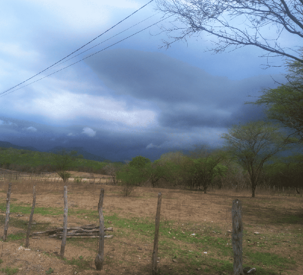 Foto: Pedro Paulo Paulino